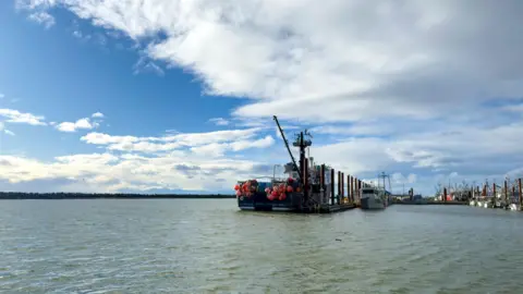The Steveston wharf