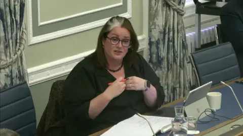 Alliance MLA Sian Mulholland speaking at a Stormont committee