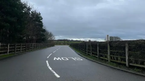 ELLEN KNIGHT/BBC A tarmac-d road, with white lines running down the middle of it, and the word SLOW painted onto the right hand side. Either side of the road are wooden fences, with brown hedgerows on the field-side. The road stretches into the middle distance, with a main road just visible at a junction. On the left, a row of coniferous trees runs alongside the fence. The sky is grey and overcast. 