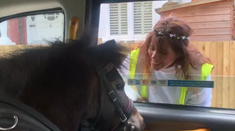 A pony in a taxi with a woman looking at him