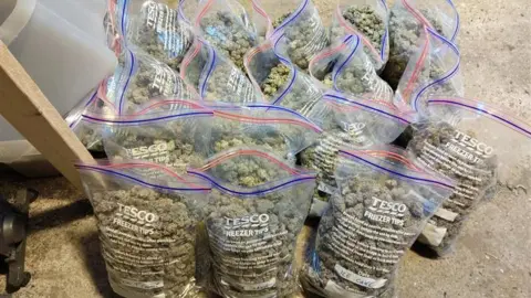 Essex Police Many small rolled-up balls of cannabis in about a dozen Tesco resealable freezer bags.