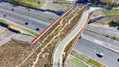 An aerial view of a green bridge, covered in heather and other greenery.