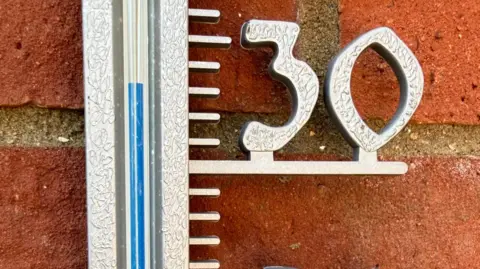 Suzies View A thermometer showing plus 30C. It is on a red brick wall. 