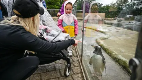 Getty Images Visitors with a penguin at Edinburgh Zoo