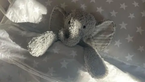 Catherine Wilson Toy elephant lies on a pillow in bed, tucked up under duvet