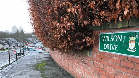 A green street sign for Wilson Drive on a brick wall leads into a pavement and road in a suburban Borders street