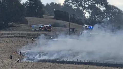 A field on fire. Lots of smoke is visible and there are several fire engines in the background. 
