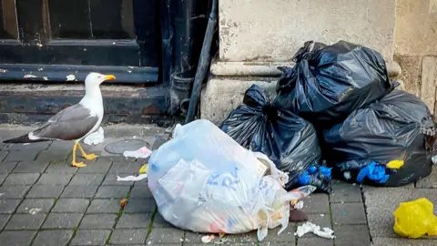 Black bin bag rubbish on the pavement with a seagull picking holes in one bag an scattering rubbish