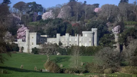 Caerhays Estate A view of a grand turreted castle surrounded by green lawns and trees, including bright bursts of pink magnolia flowers.