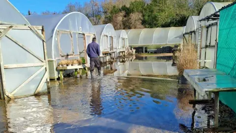 Cherry Tree Nursery A man in wellies walks through flooded nursery past a row of flooded polytunnels