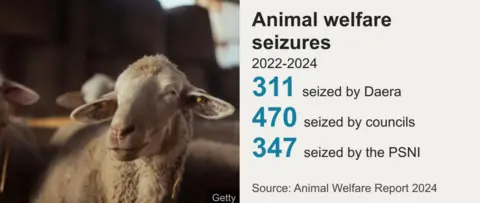 Graphic title: Animal welfare seizures 2022-2024
Graphic text:
311 seized by Daera
470 seized by councils
347 seized by the PSNI