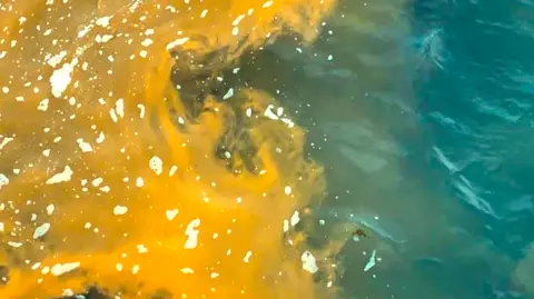 On the right is turquoise water and on the left is a bright yellow/orange bloom of water 