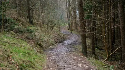 Jim Barton/ Geograph A well-used path through dark woodland