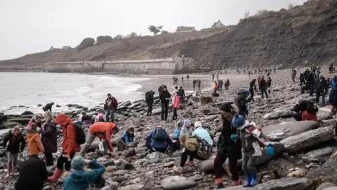 Lyme Regis Museum A busy beach on the Jurassic Coast as amateur fossil hunters look for specimens.
