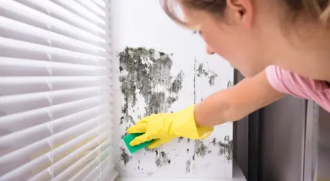 Getty Images Woman scrubbing mould from a wall