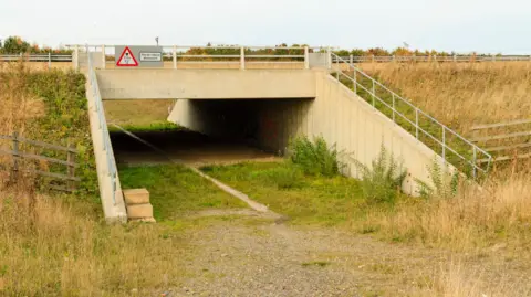 B&MKWT A stone bridge on the A421 in Bedfordshire with railings around it and grasses on the banks either side. There is a path with greenery underneath it. 