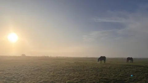 DoberMum The sun shines over a field, the silhouettes of two horses are below.