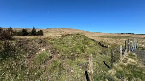 An area of green peatland and yellow-ish grassland behind a wire fence. 