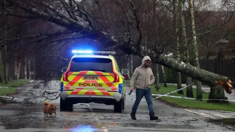 Getty Images A man walks a dog past a police car in front of a fallen tree 