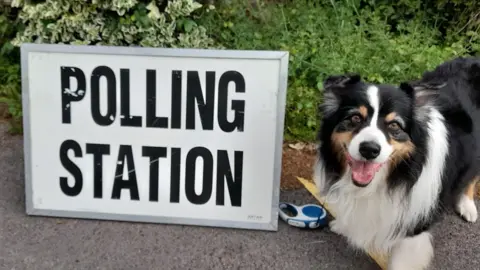 Maggie Port A black, white and brown dog kneeling next to a polling station sign.