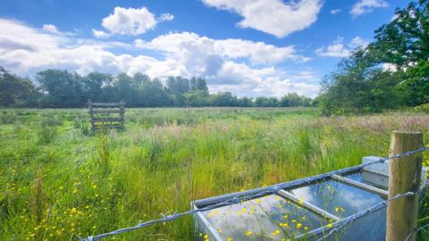 SATURDAY - Shinfield - a view over a grass field on a sunny day with a water trough.