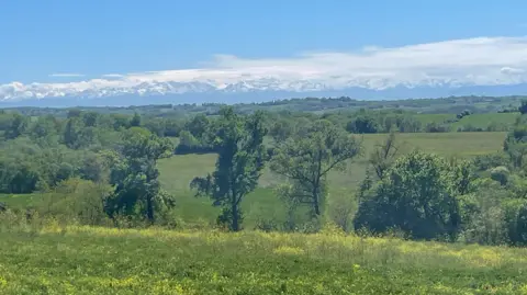 Claire and Neal Hensley A landscape of fields and trees in the foreground and rolling hills on the horizon with a blue sky and wisps of white cloud.