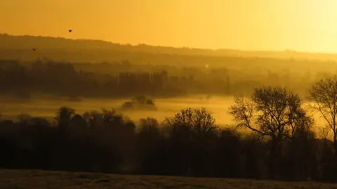 Lucie Johnson Mist floats on fields bordered by trees under a yellow sky.
