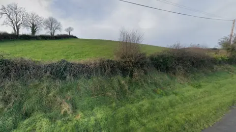 Google street view image of field in the Abbacy Road area of Portaferry