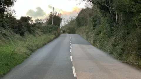 A road with a broken white line in the middle with hedges at both sides.