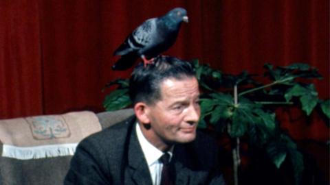 Glynne Wood sitting on a sofa with a pigeon standing on his head.