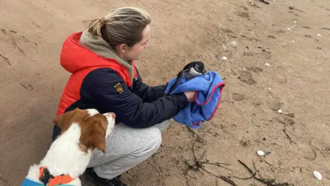 Claire Anthony A woman in colourful waterproofs holding a puffin wrapped in a blue towel with a white and brown dog standing next to her on a beach.