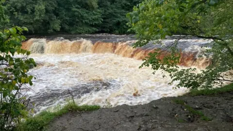 Julia Lewis/BBC A waterfall of brown-looking water surrounded by trees. There is a muddy embankment on the right. 