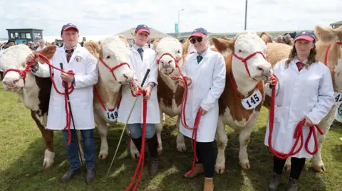 Chris Jackson/PA Wire Five large brown and white cows stand with red leads next to four people. They are the winners of the best team of five beef animals of a breed award and are posing at the Royal Cornwall Show.