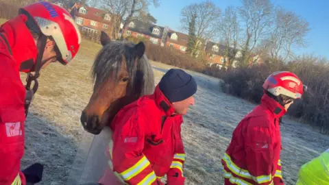 Derbyshire Fire and Rescue Service A brown pony nuzzling a firefighter in a red uniform.