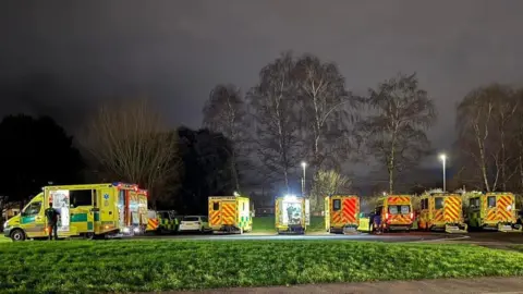 A row of seven ambulances lines up by a grass verge at night time. There is a row of poplar trees in the background. 