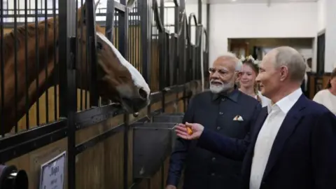 AFP In this pool photo released by Russian state news agency Sputnik, Russian President Vladimir Putin and Indian Prime Minister Narendra Modi visit the stables during an informal meeting at the Novo-Ogaryovo state residence, outside Moscow, on July 8, 2024.