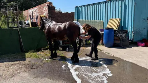 Simon Thake A woman washes a brown horse using a yellow hose on a livery yard