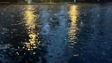BBC A small puddle with rain on the road. There is rain drops hitting the puddle making ripples.