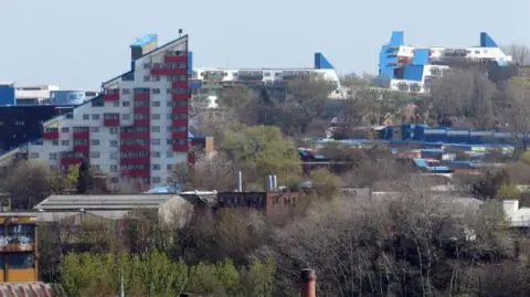 General view of the Byker Wall in Newcastle. Trees sit in the foreground, with buildings and a large block of flats in the background.