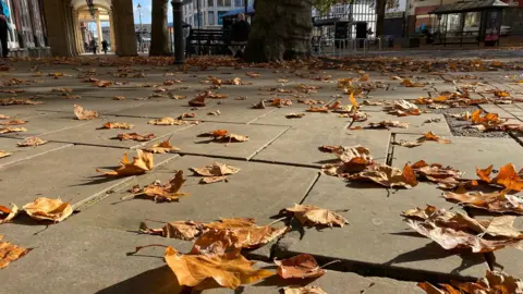 Jan A street scene taken from a low angle shows a scattering of brown leaves across the pavement in the autumn sunshine. There are shops and shoppers in background and the trunks of trees.