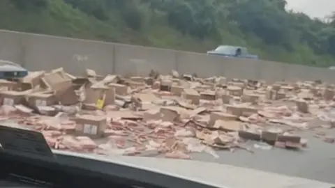 Cardboad boxes and hot dogs are littered across a US highway.