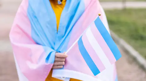 A person is draped in the transgender flag.