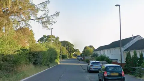 A long straight road with trees and buses on one side and houses on the other.