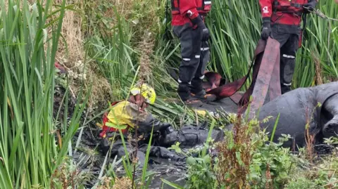 Carly Wilford A horse being cradled by a firefighter while they lay in a ditch covered in black mud.