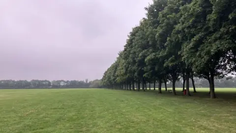 A line of trees next to open green field. Grey sky above the grass and a second line of trees in the distant. 