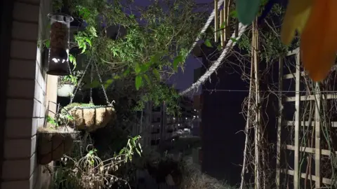 Chris Sayudo's balcony covered in plants to keep the sun out