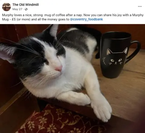 The Old Windmill Murphy the black and white cat slouches next to a black mug with the white outline of a cat on it 