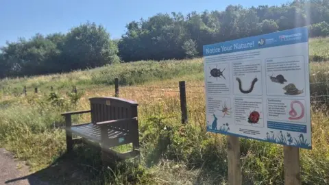 Durham Wildlife Trust An information board at Rainton Meadows Nature Reserve. It has the title Notice Your Nature and some bugs and animals pictured on it. It is erected next to a wooden bench, just off a path surrounded by green space, with trees in the background.