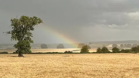 BBC Weather Watcher, Kate22 Marsh Baldon, Oxfordshire golden fields with rainbow appearing as showers pass.