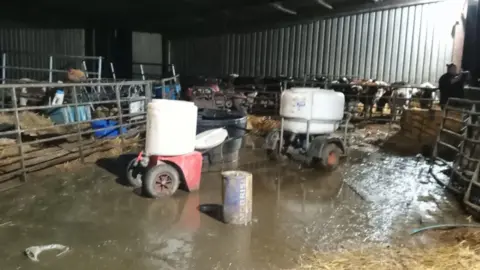 BBC A barn with water flooded on the floor, metal gating around pens with hay, some farm equipment with tyres in the water and cows in a pen in front of a corrugated metal divider. 